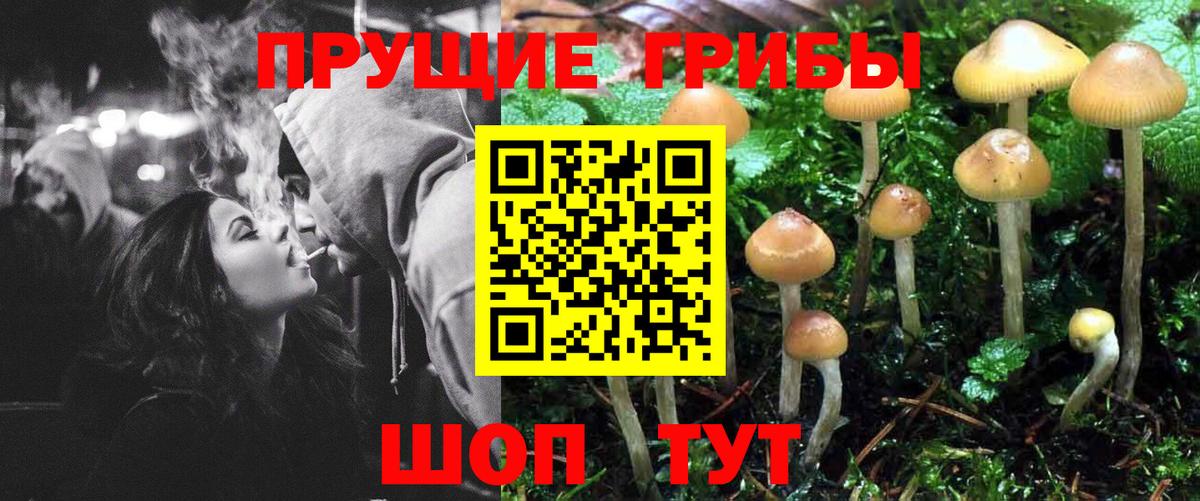 Псилоцибиновые грибы ЛСД  купить наркотики сайты  Псилоцибиновые грибы прущие грибы  Орехово-Зуево  Вход с VPN 